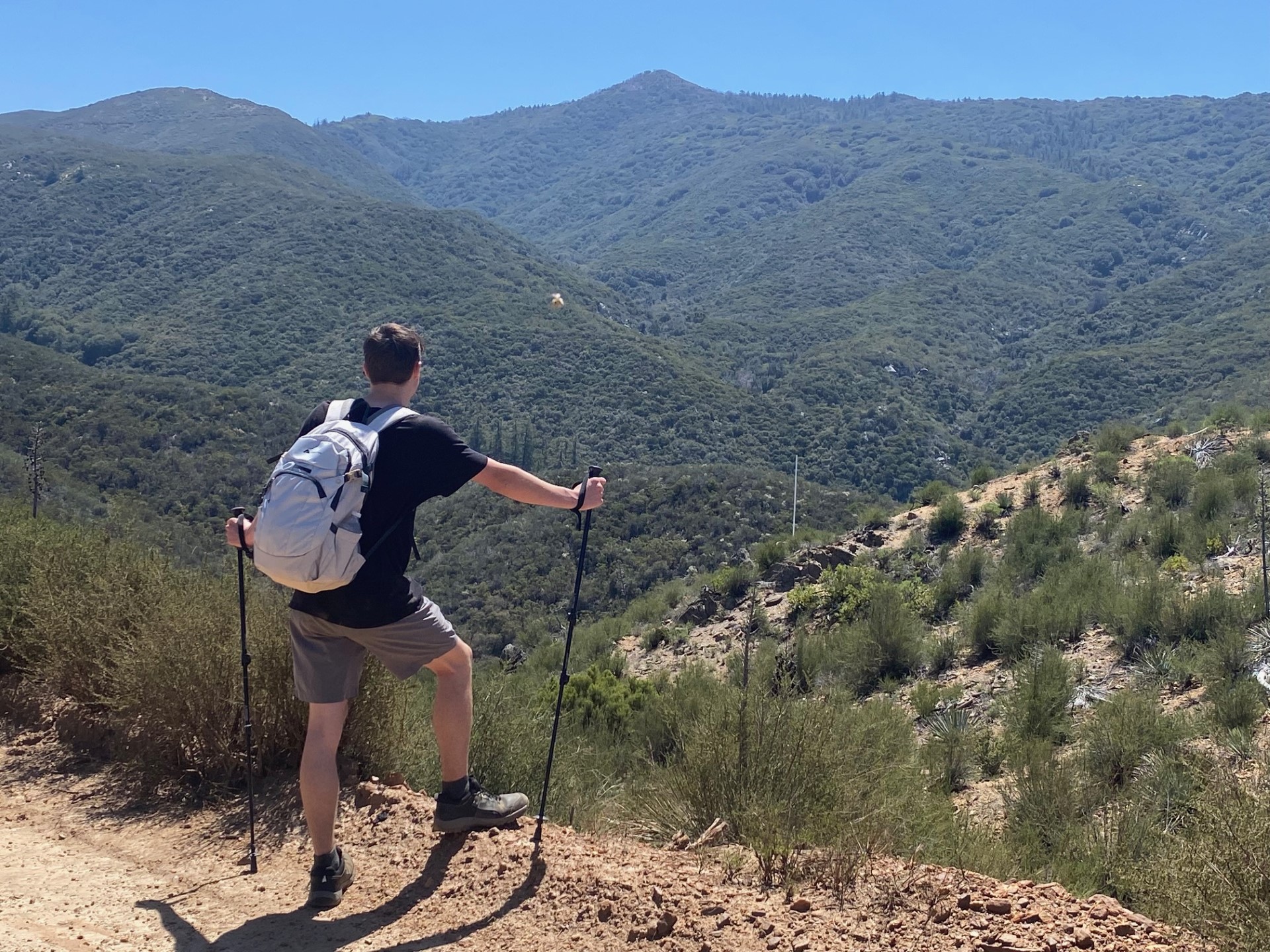 Dakota at Palomar