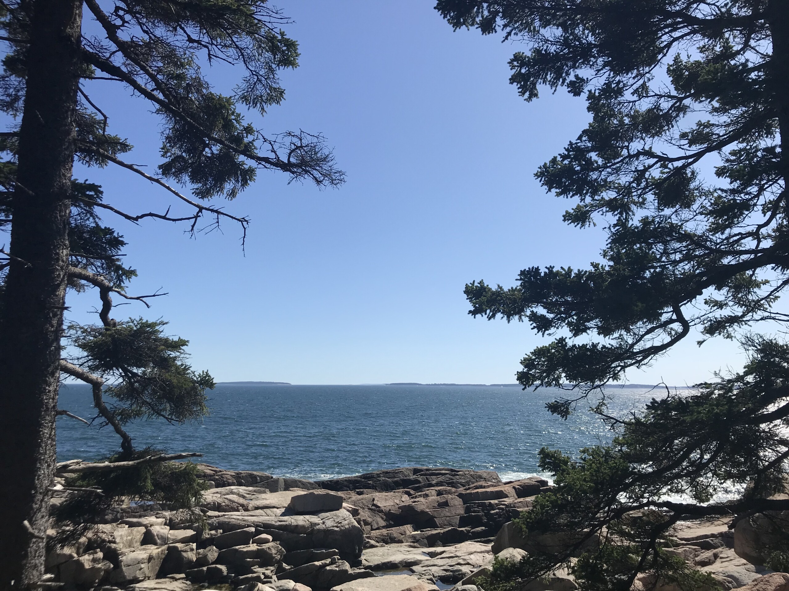 Acadia Rocky Coastline