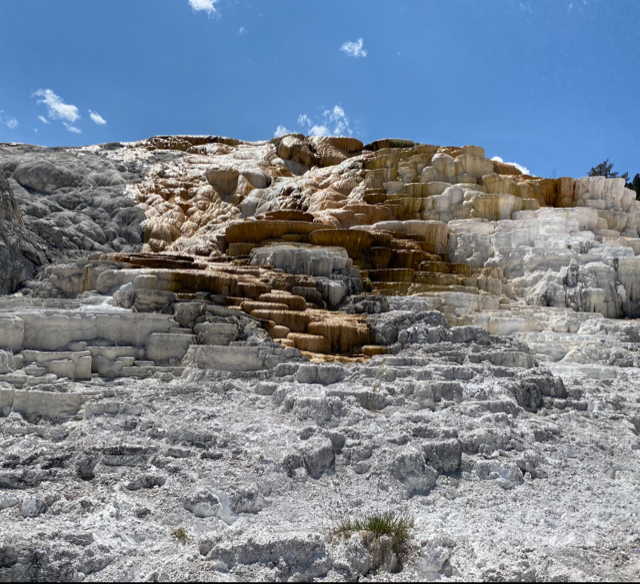 Mammoth Hot Springs