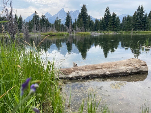 Schwabacher's Landing